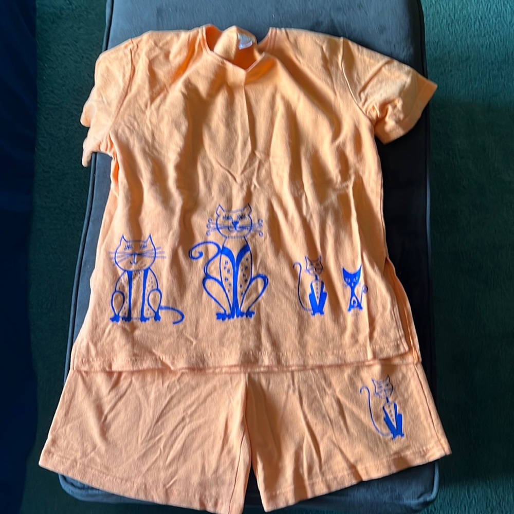 Cite Set Orange Cat VINTAGE sport wear $ALE